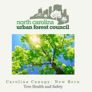 Cover photo for Carolina Canopy: New Bern - NC Urban Forest Council Workshop