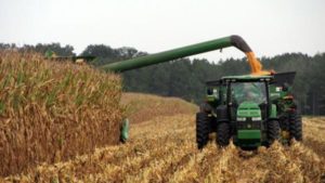 Cover photo for 2018 Corn Variety Trial Data Is In!