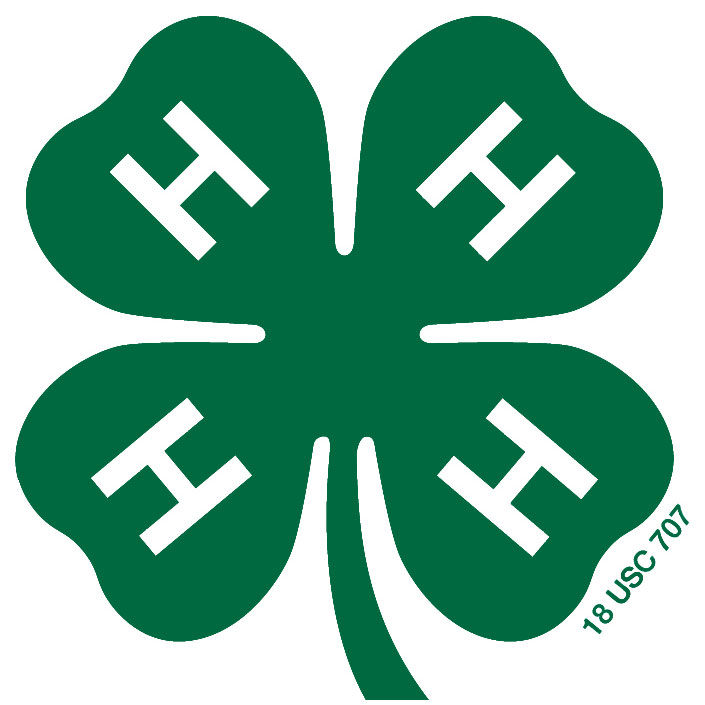 Official4-H logo