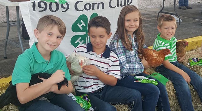 youth with their chickens