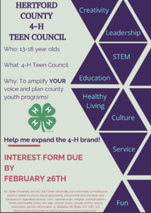 4-H Teen Council