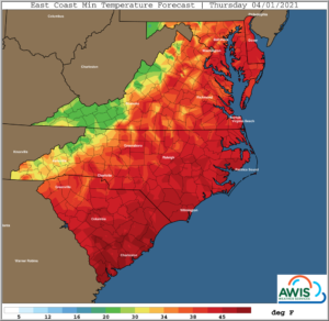 Cover photo for AWIS Weather Forecast: Widespread Freeze!