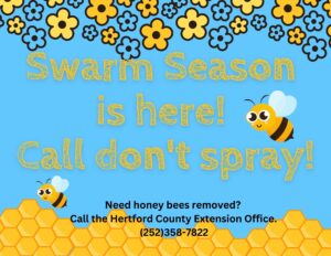 Swarm Season is here! Call don't spray flyer