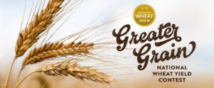 wheat yield flyer
