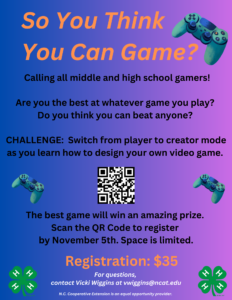 Video Game Competition