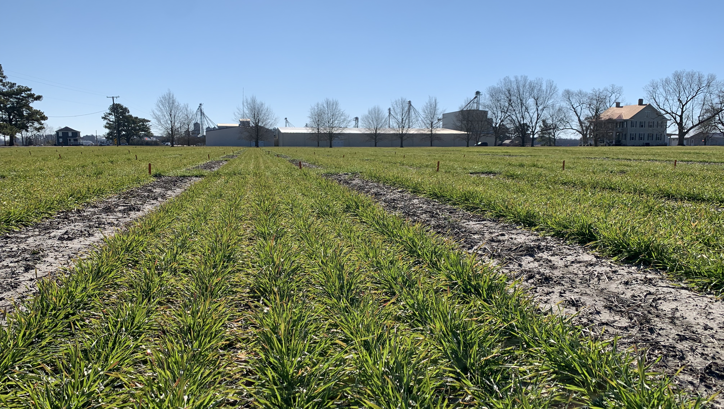 Top 10 High-Yield Crops for Small Farmers: Maximize Profits