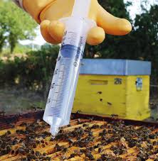 Cover photo for What Should I Be Doing in My Apiary This Month?  December